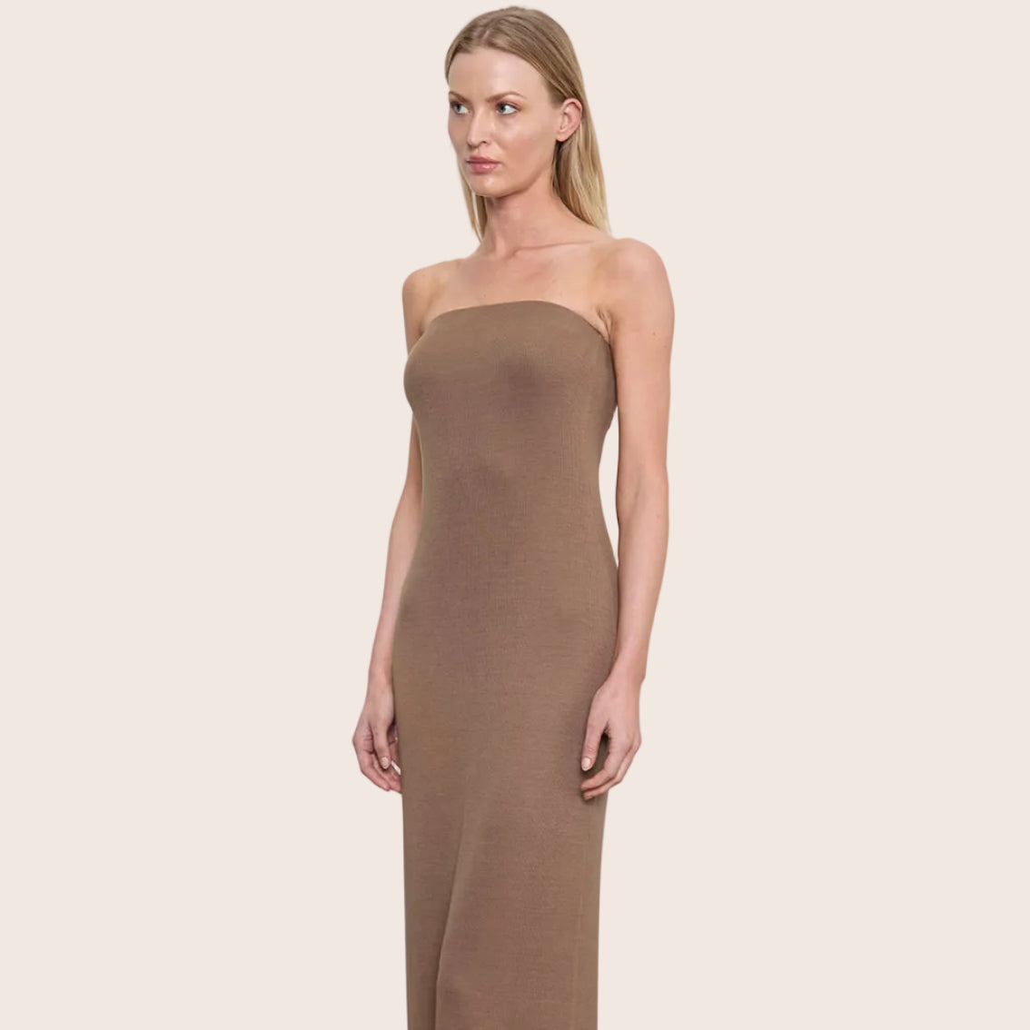 Silk Rib Strapless Fluid Dress — Maria